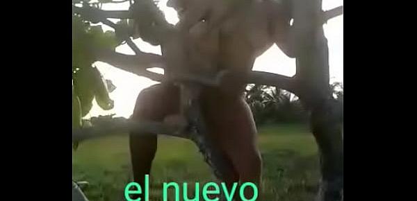  El nuevo tarzan